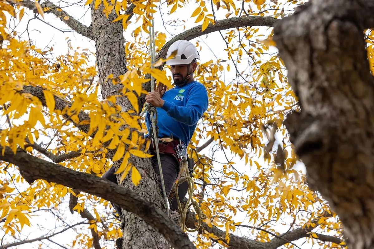 Skilled Storm Damage Cleanup crew working in Muncie